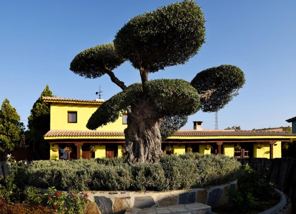  à vendre maison de campagne Coín Valle Del Guadalhorce 14