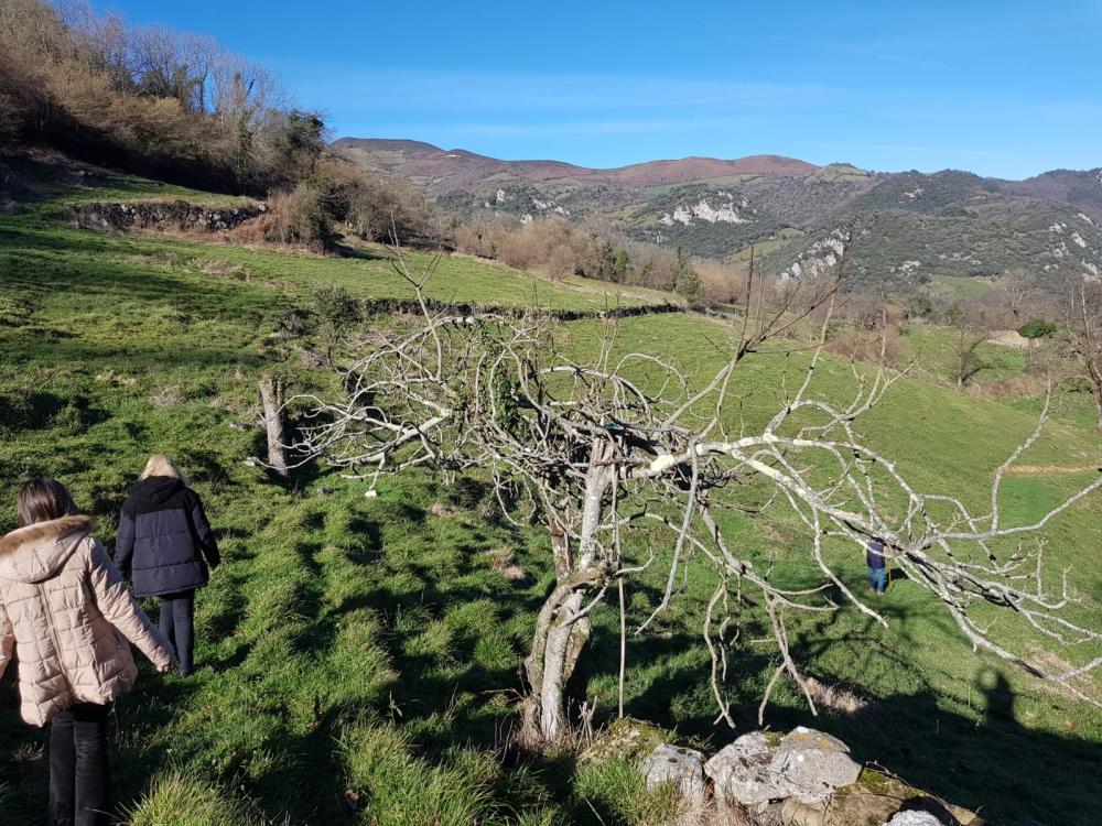  à vendre maison de campagne Proaza Oviedo 4