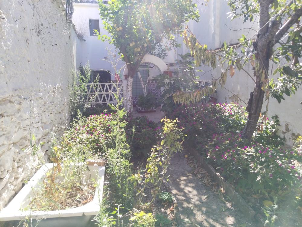  à vendre maison Guadalcanal Sierra Norte 52