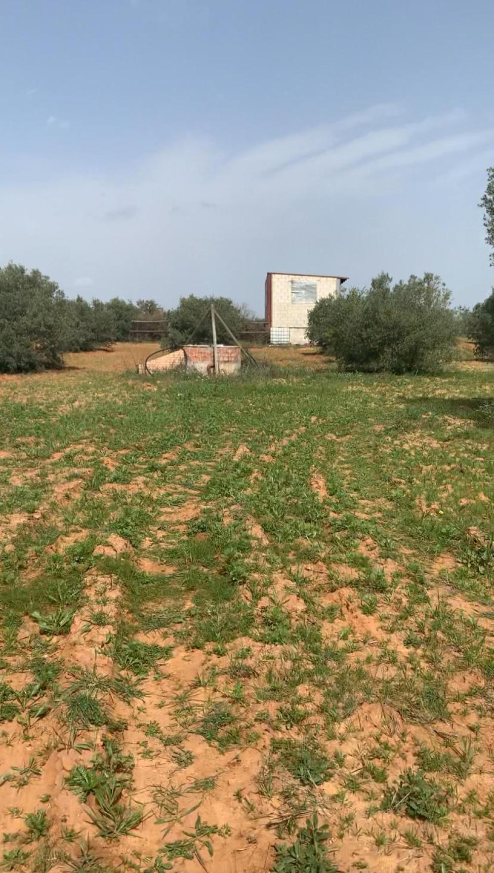  à vendre maison de campagne Hinojos Condado (El) 1