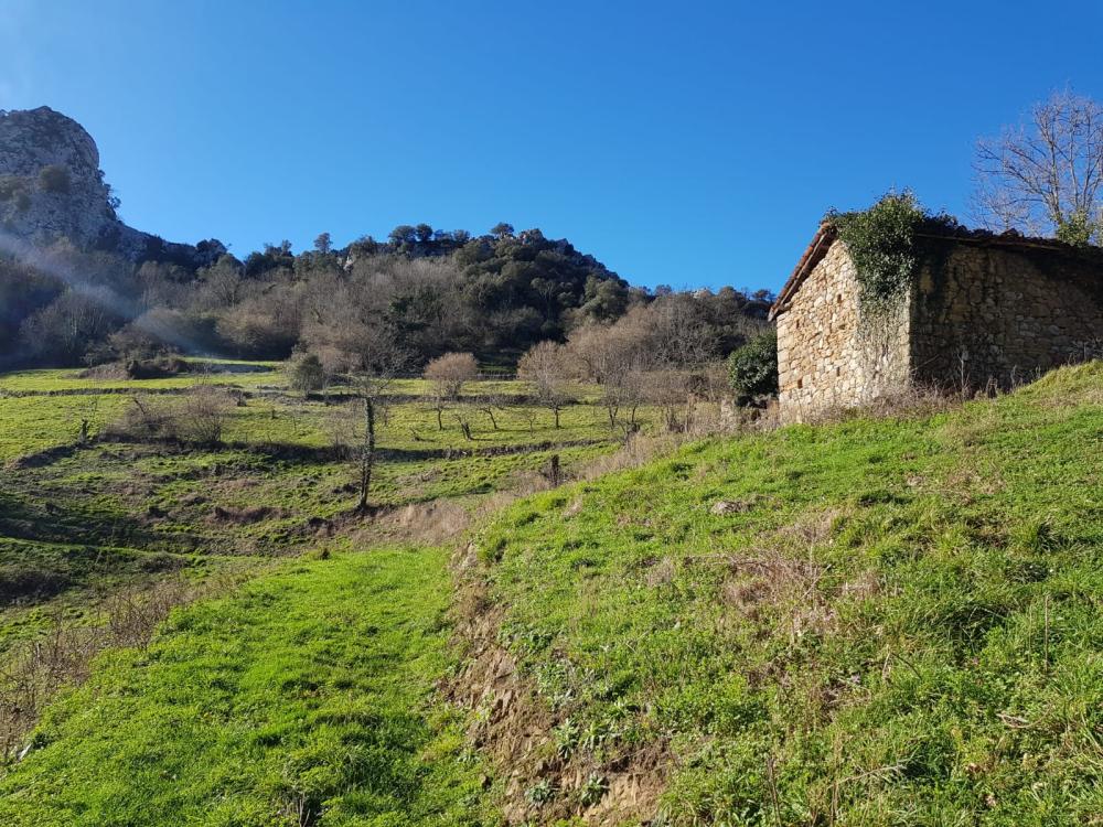  à vendre maison de campagne Proaza Oviedo 3