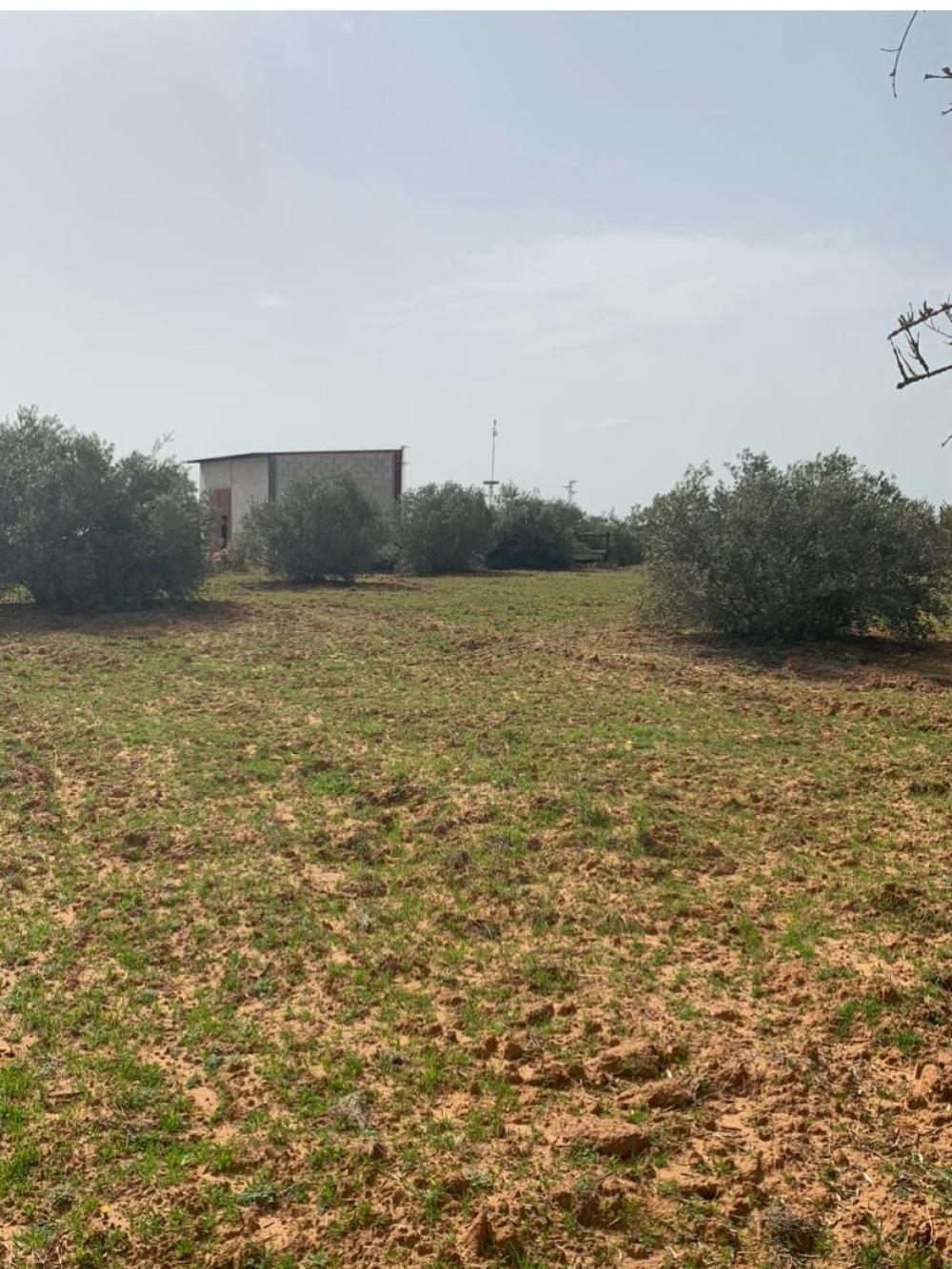  à vendre maison de campagne Hinojos Condado (El) 4