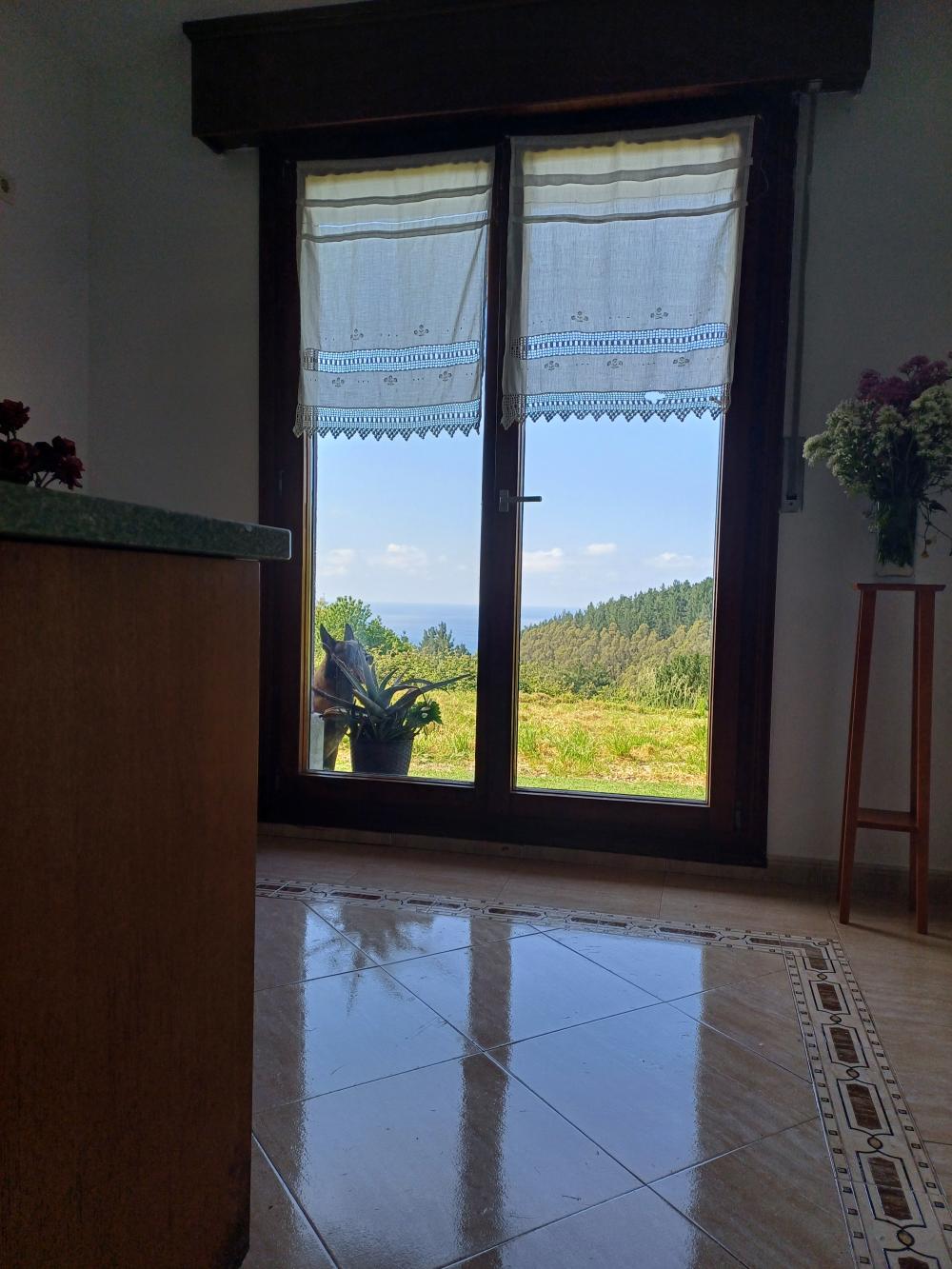  à vendre villa Asterrika Lea-Artibai 12
