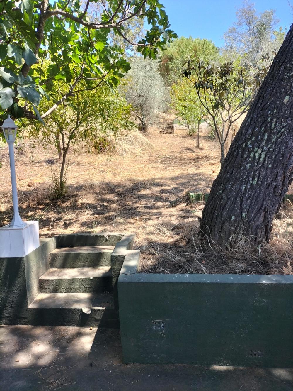  à vendre maison Constantina Sierra Norte 17