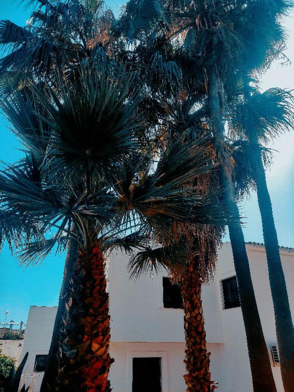 à vendre villa Estepona Costa Del Sol Occidental 2