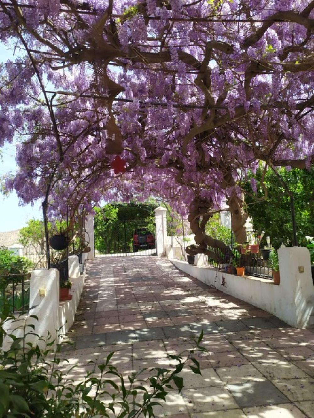  à vendre maison Terque Alpujarra Almeriense 1