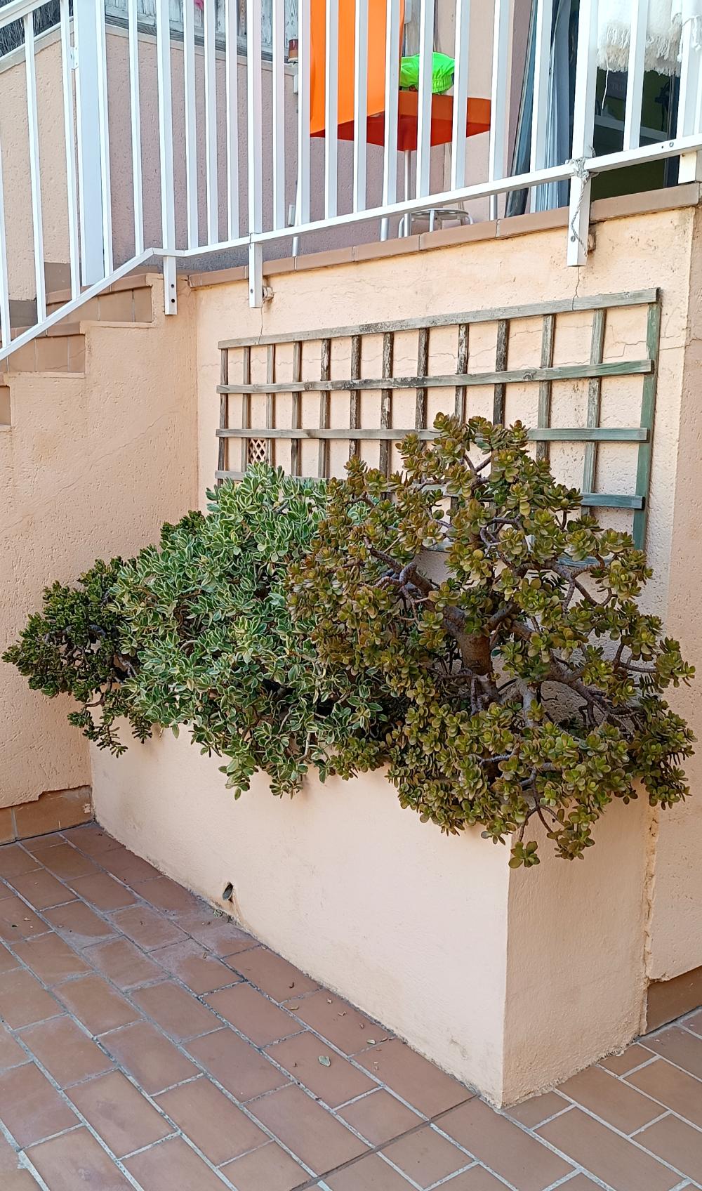 à vendre duplex La Bonanova Palma 2