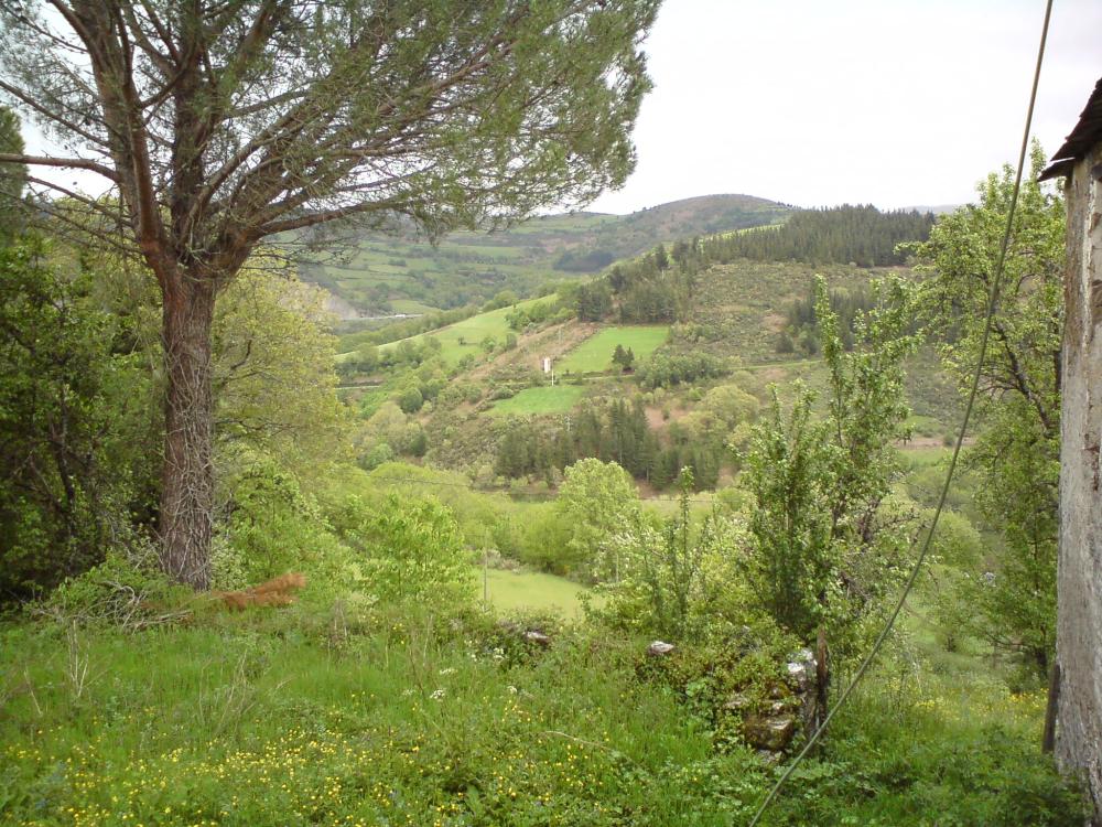  à vendre maison As Nogais Ancares 6