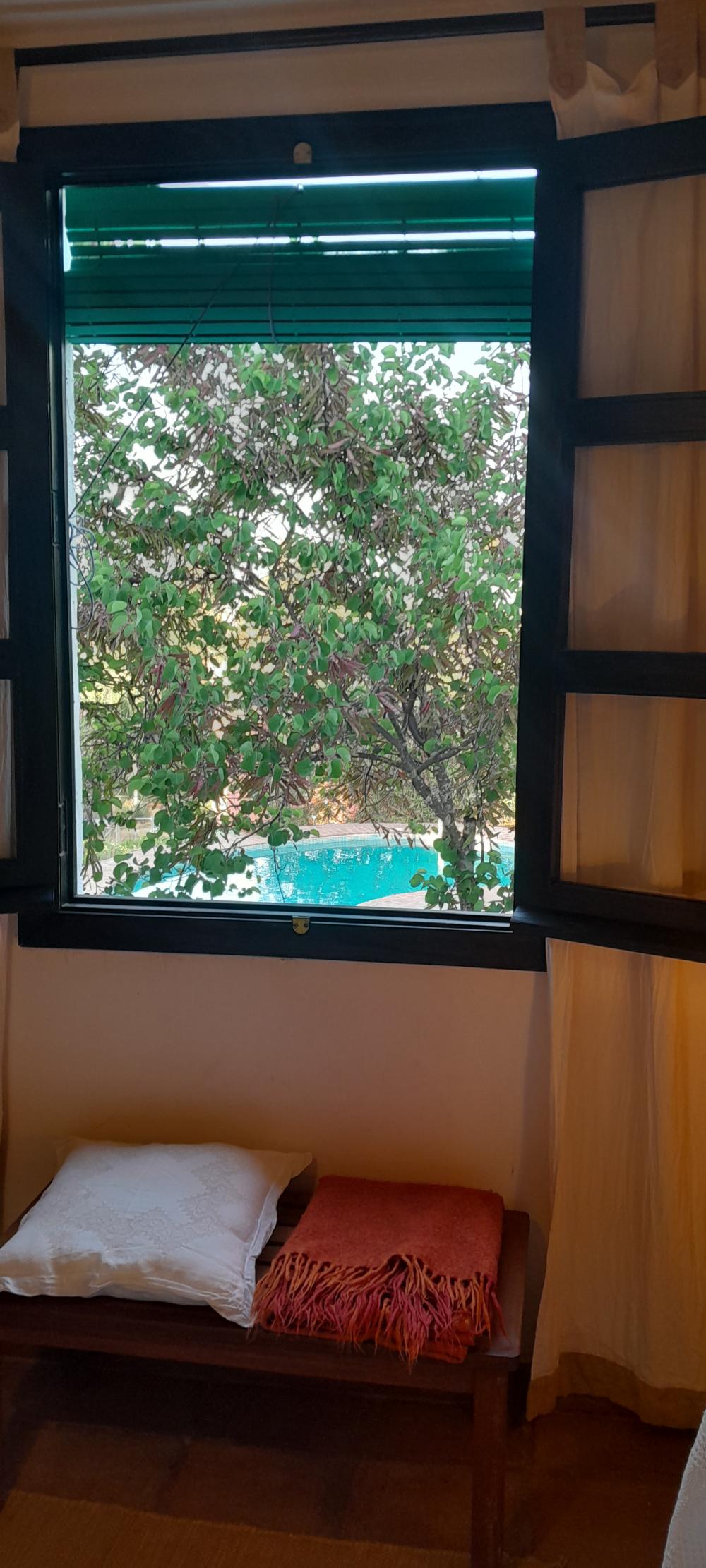  à vendre villa Alhaurín De La Torre Valle Del Guadalhorce 35
