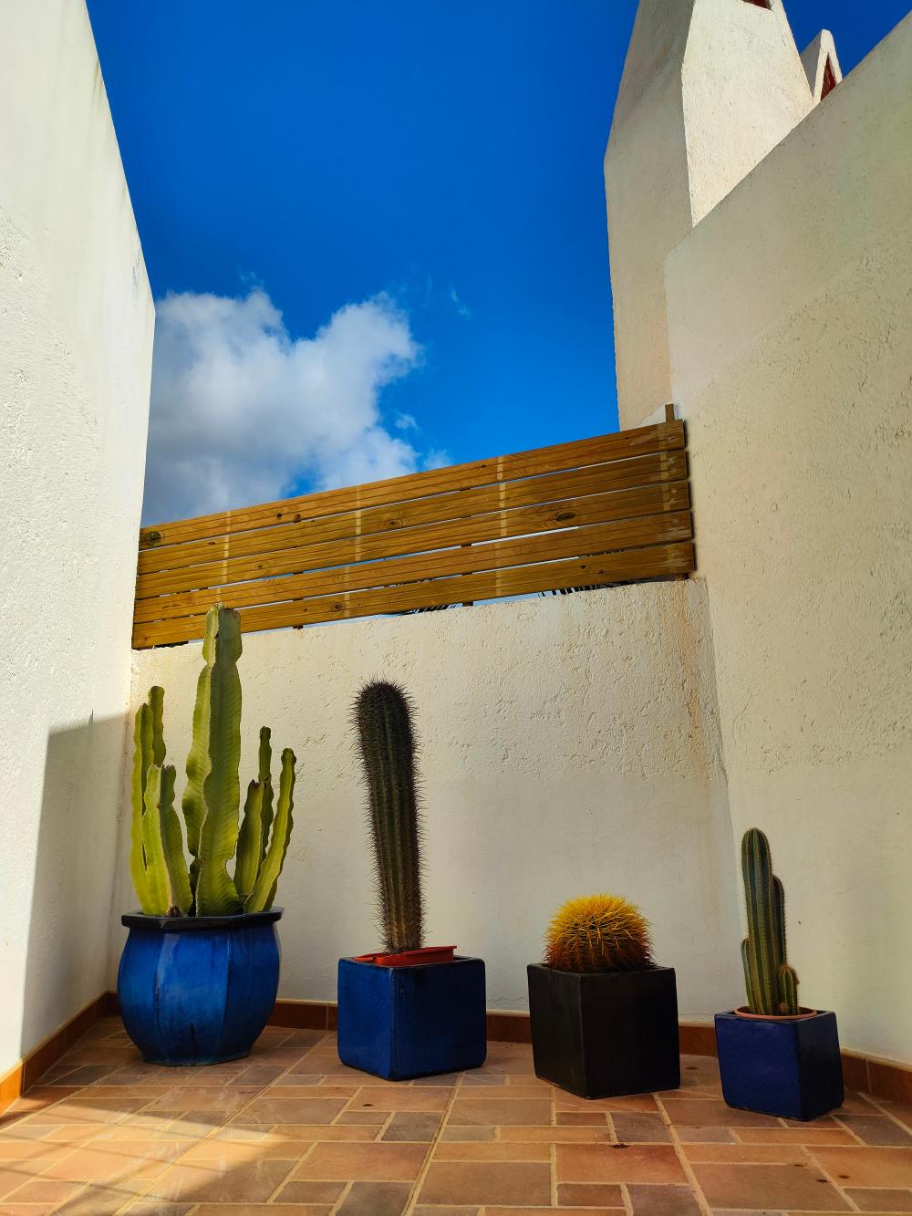  à vendre maison jumelée Rodalquilar Comarca Metropolitana De Almería 54