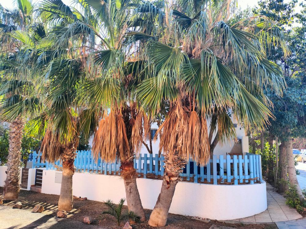  à vendre maison jumelée Rodalquilar Comarca Metropolitana De Almería 4