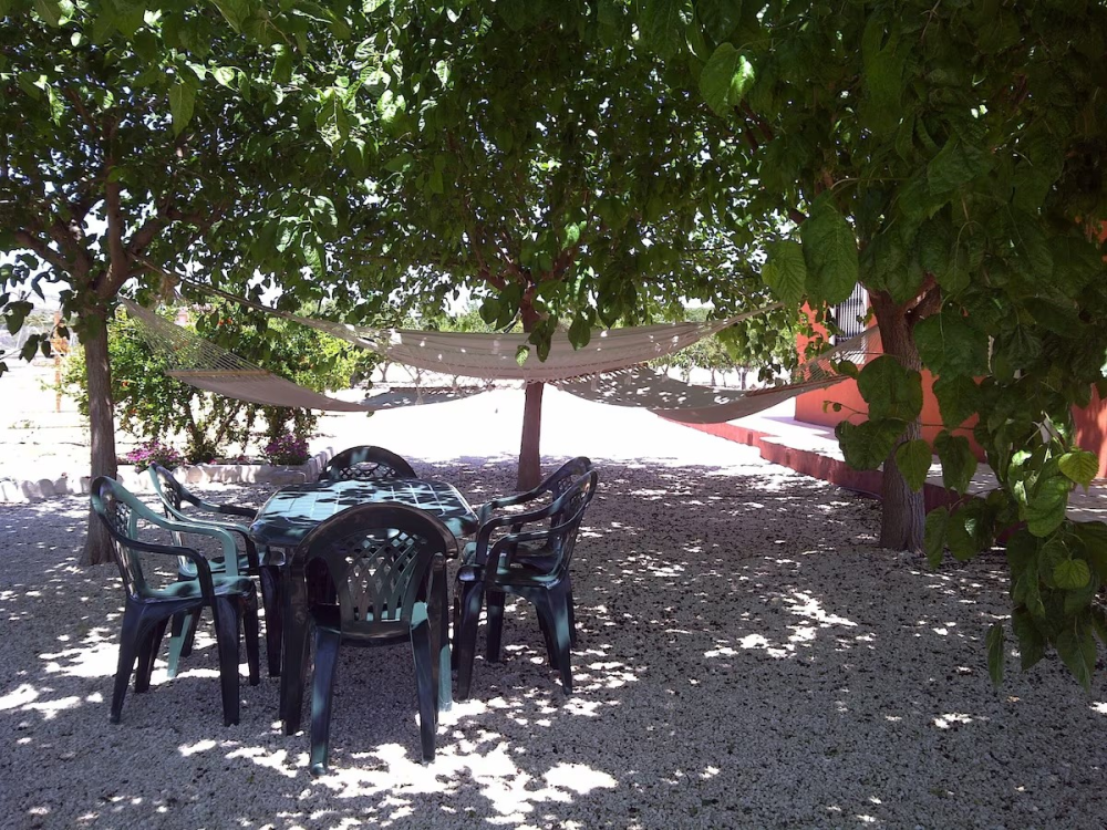  à vendre villa Pla De Sant Josep Baix Vinalopó 17