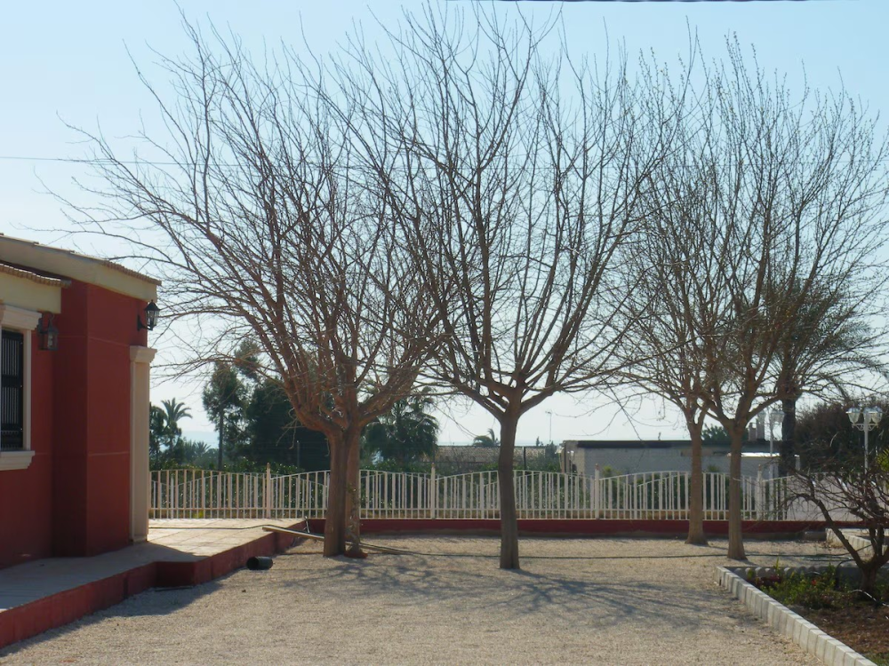  à vendre villa Pla De Sant Josep Baix Vinalopó 12