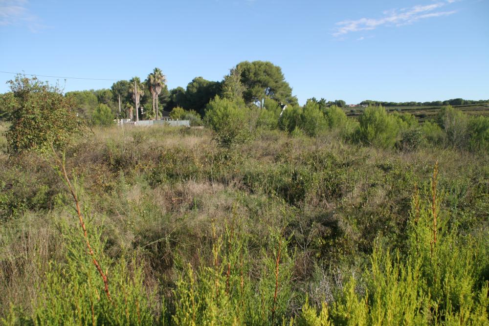  à vendre villa Godelleta Hoya De Buñol 9