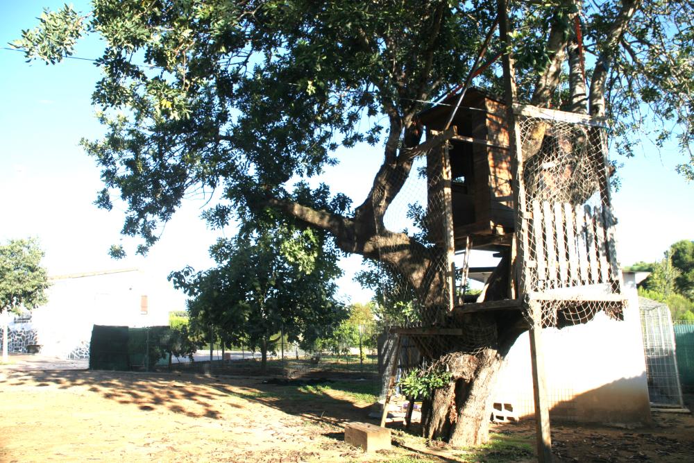  à vendre villa Godelleta Hoya De Buñol 6