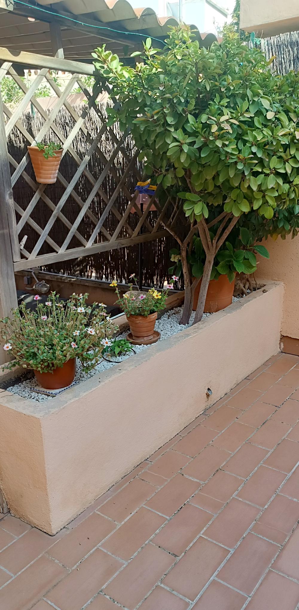  à vendre duplex La Bonanova Palma 22