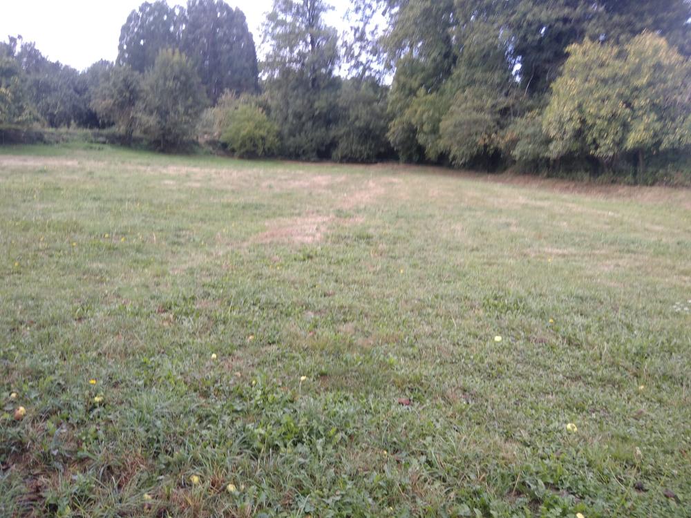  à vendre maison Baralla Ancares 5
