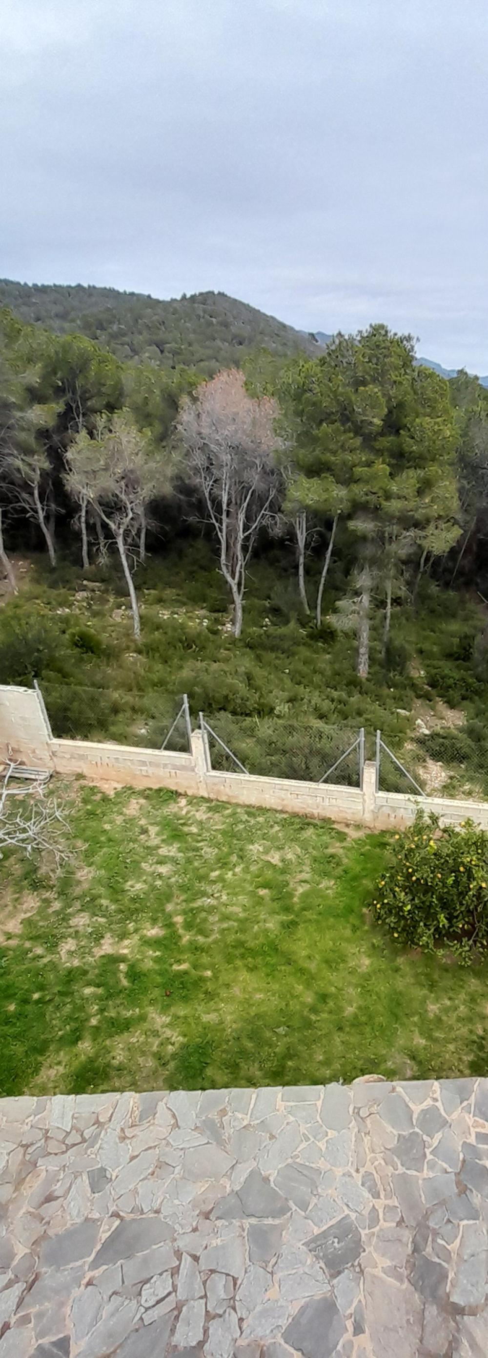  à vendre villa Mas Mateu Baix Penedès 21