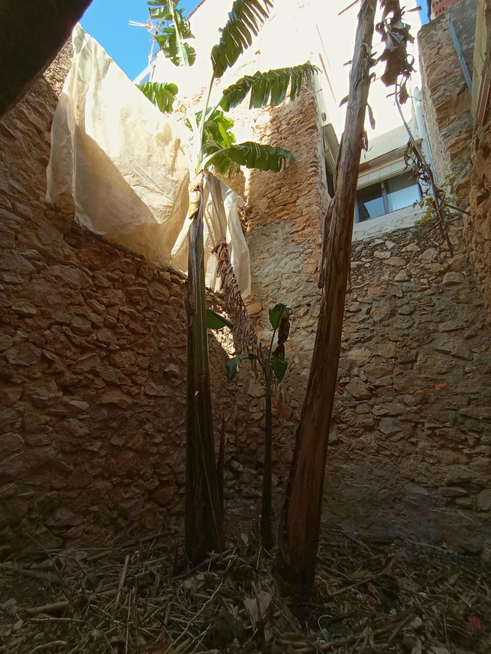  à vendre maison Alcanar Montsià 7