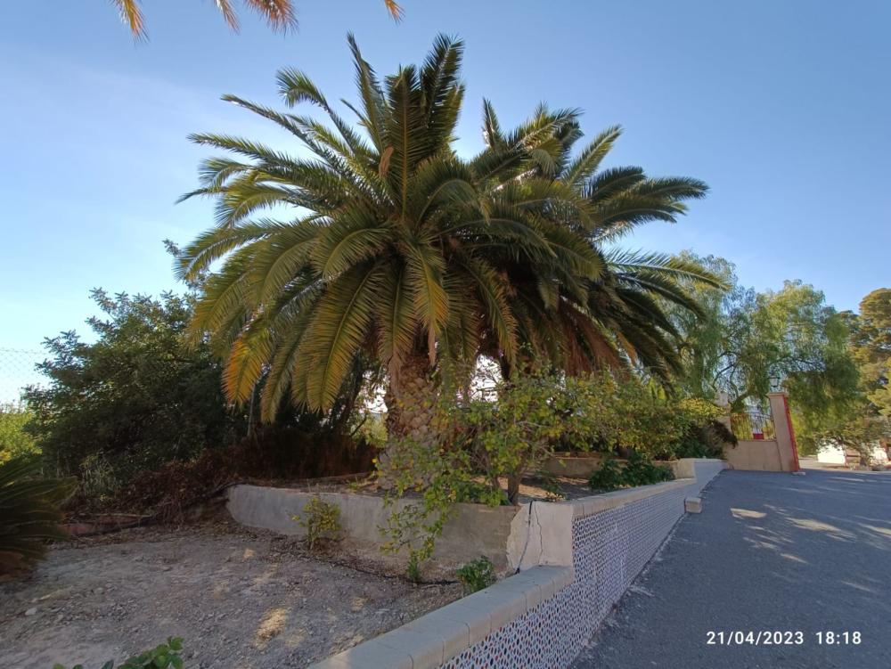  à vendre villa Jijona Alacantí 38