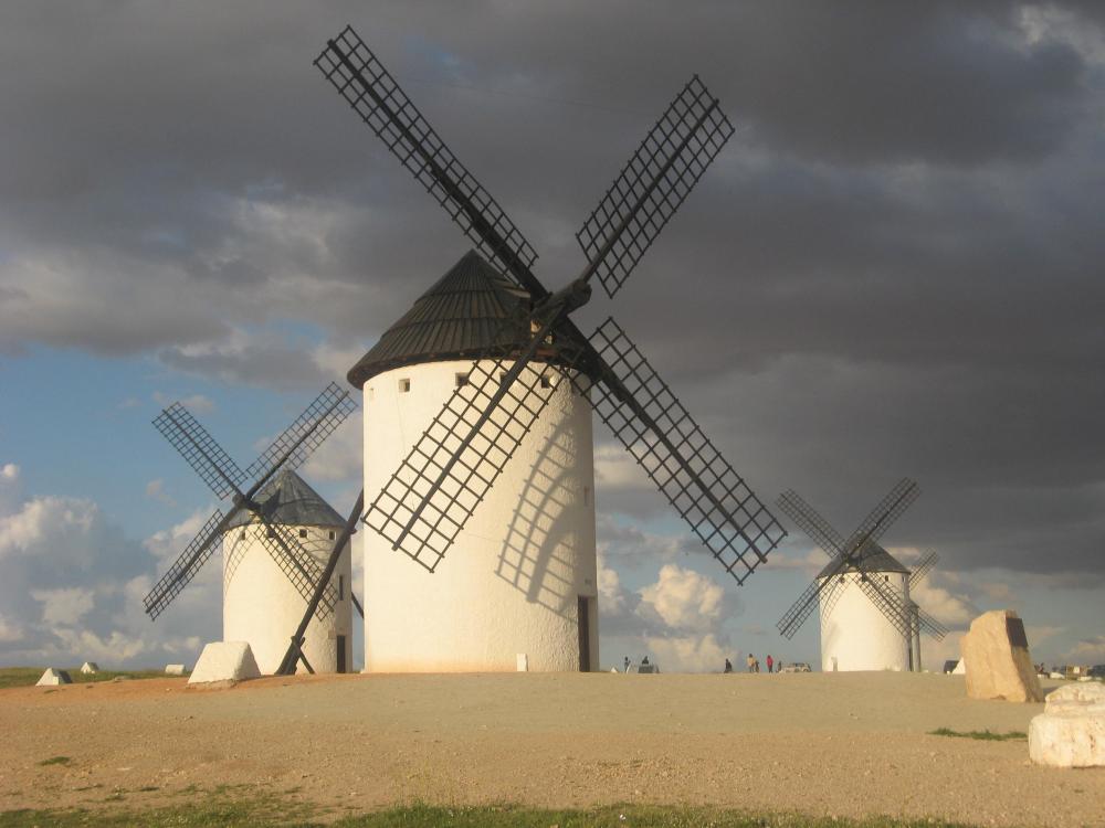  à vendre maison Pedro Muñoz Mancha (La) 17