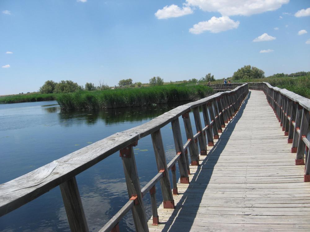  à vendre maison Pedro Muñoz Mancha (La) 20