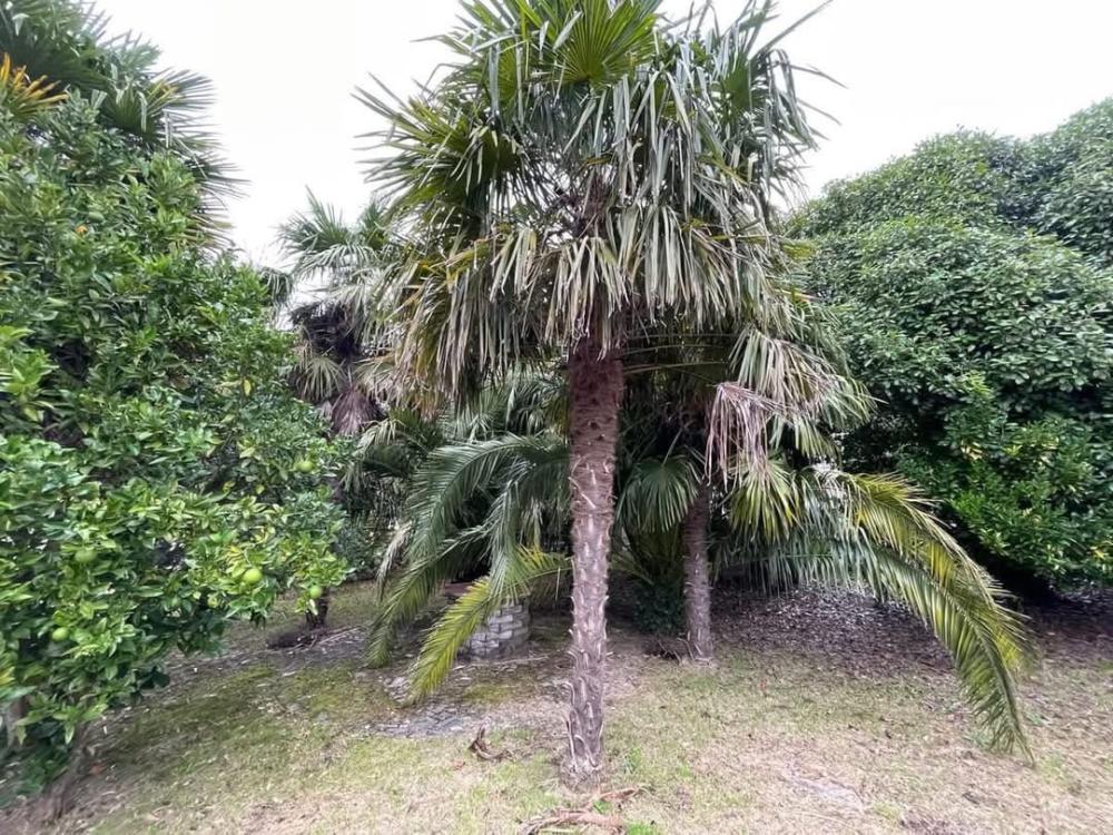  à vendre maison A Lama Pontevedra 30