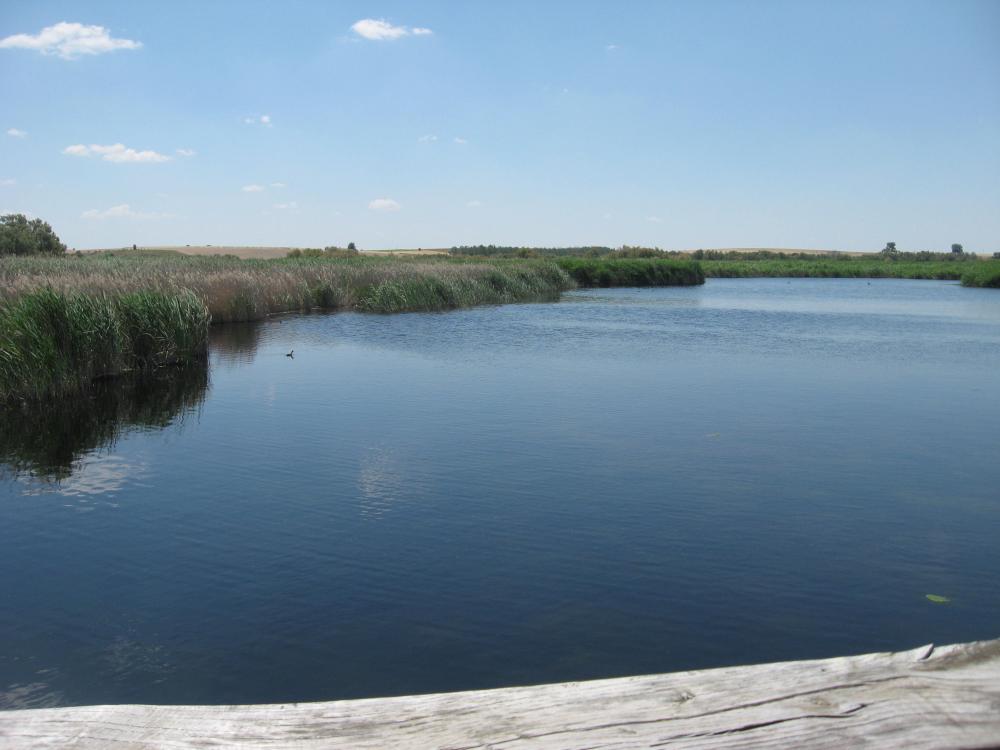  à vendre maison Pedro Muñoz Mancha (La) 21