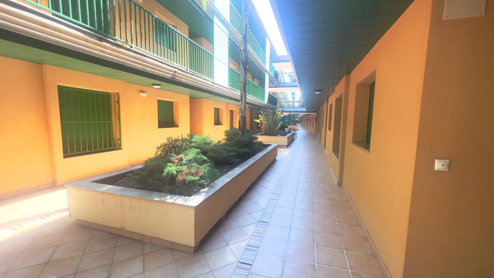  à vendre appartement Eucaliptus Montsià 30