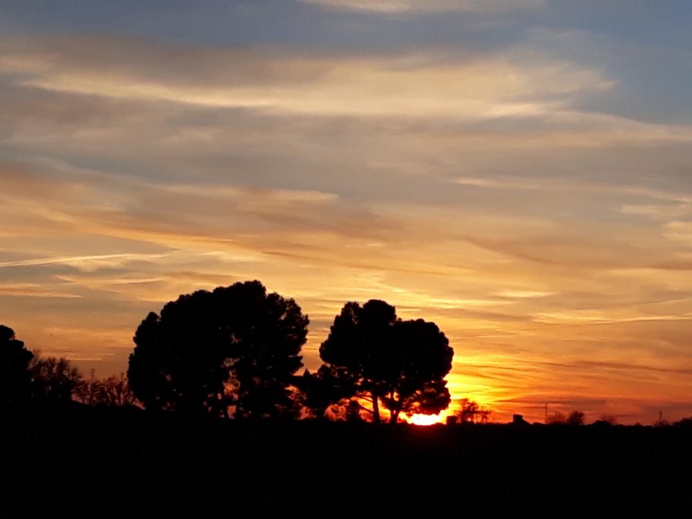  à vendre maison Pedro Muñoz Mancha (La) 15