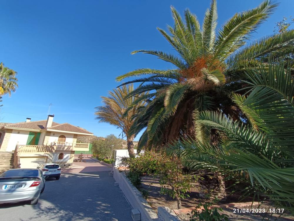  à vendre villa Jijona Alacantí 37
