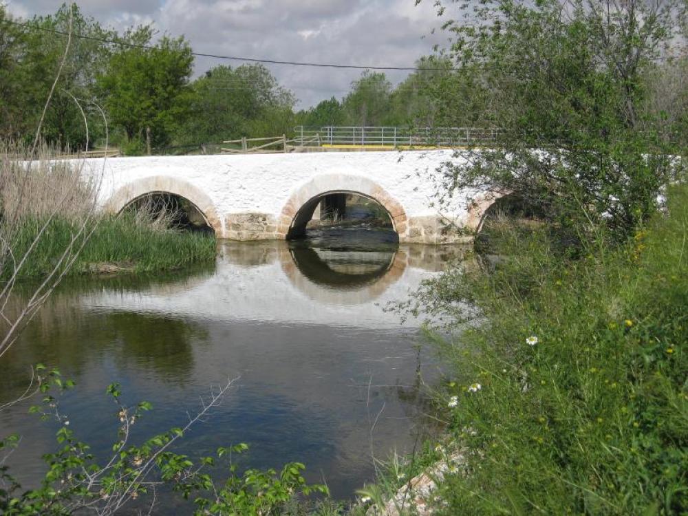  à vendre maison Pedro Muñoz Mancha (La) 22