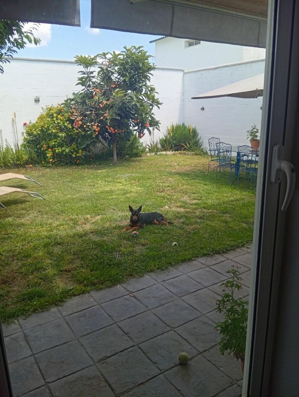 à vendre villa Bollullos De La Mitación Aljarafe 2