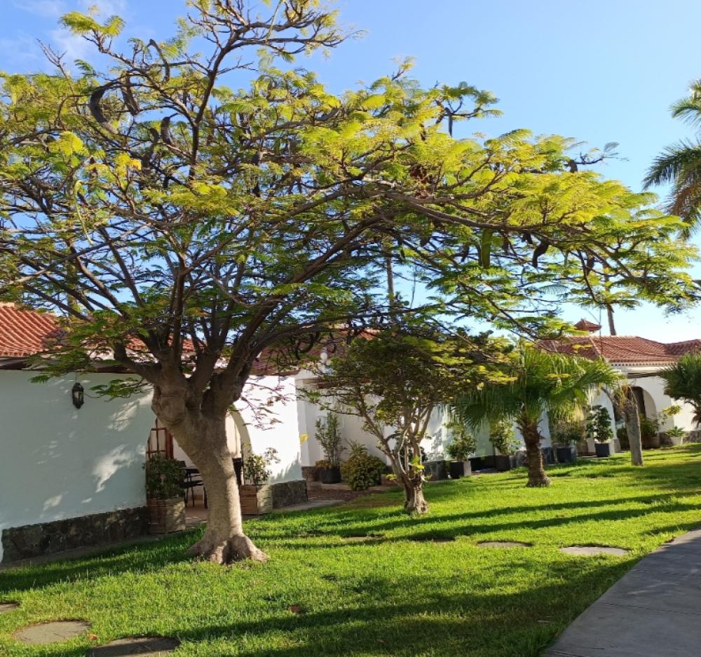  à vendre maison jumelée Maspalomas Área Sur 5