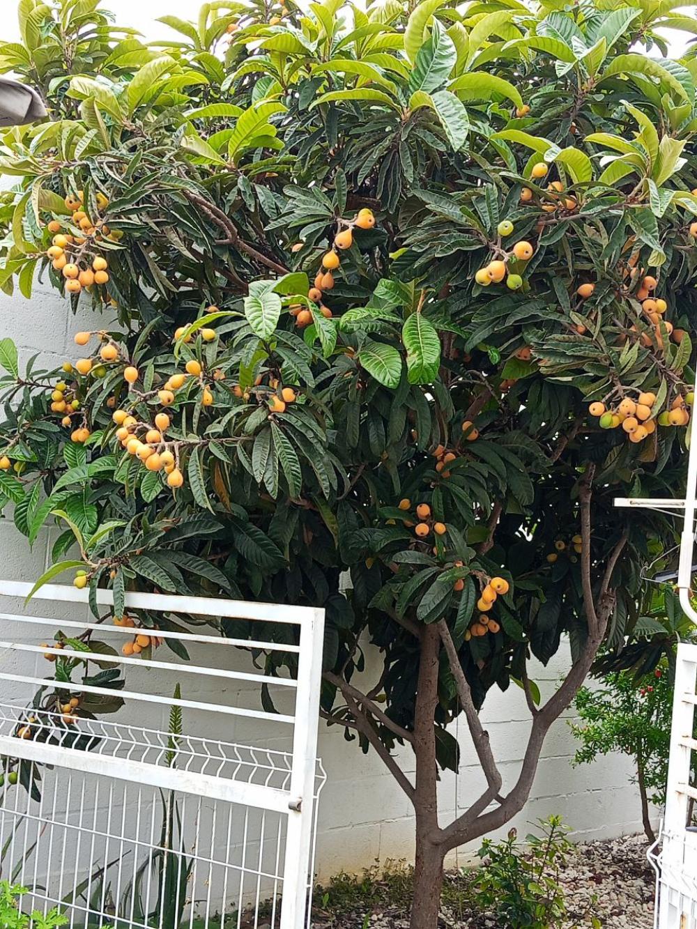  à vendre villa Bollullos De La Mitación Aljarafe 10