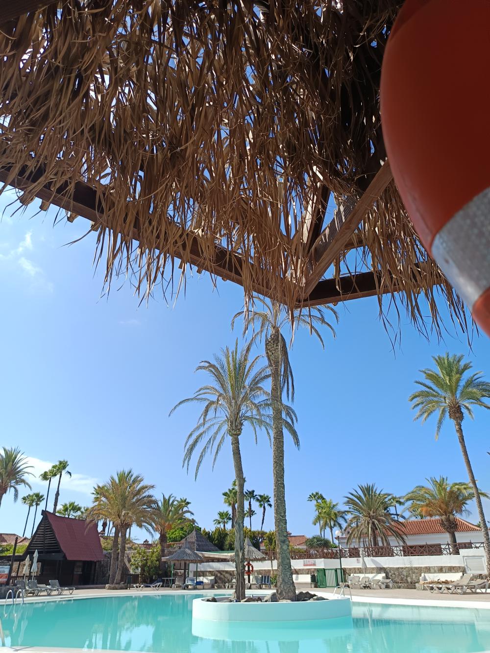  à vendre maison jumelée Maspalomas Área Sur 29