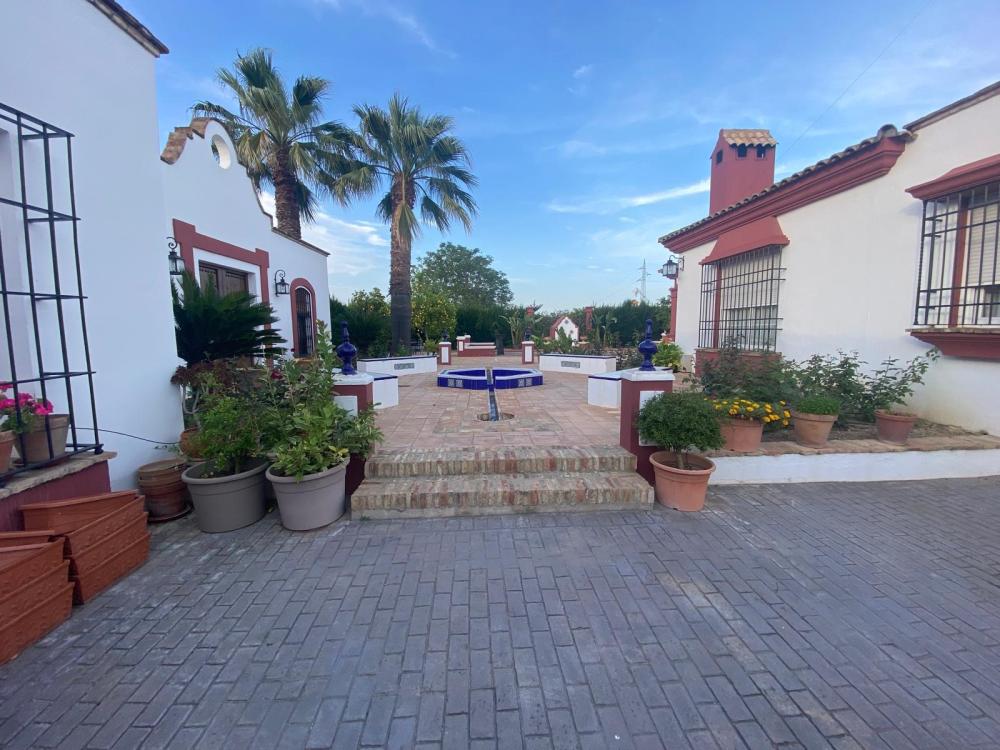  à vendre villa Palma Del Rio Valle Medio Del Guadalquivir 4
