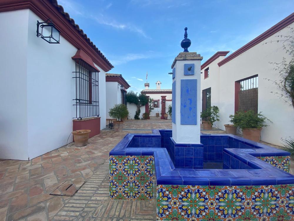  à vendre villa Palma Del Rio Valle Medio Del Guadalquivir 13
