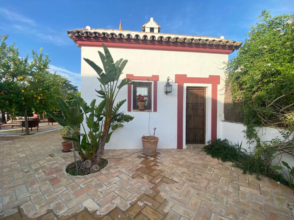  à vendre villa Palma Del Rio Valle Medio Del Guadalquivir 6