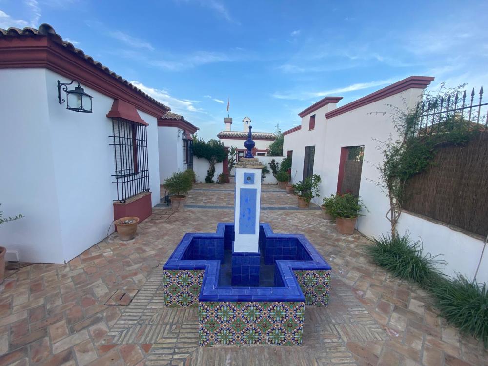  à vendre villa Palma Del Rio Valle Medio Del Guadalquivir 14