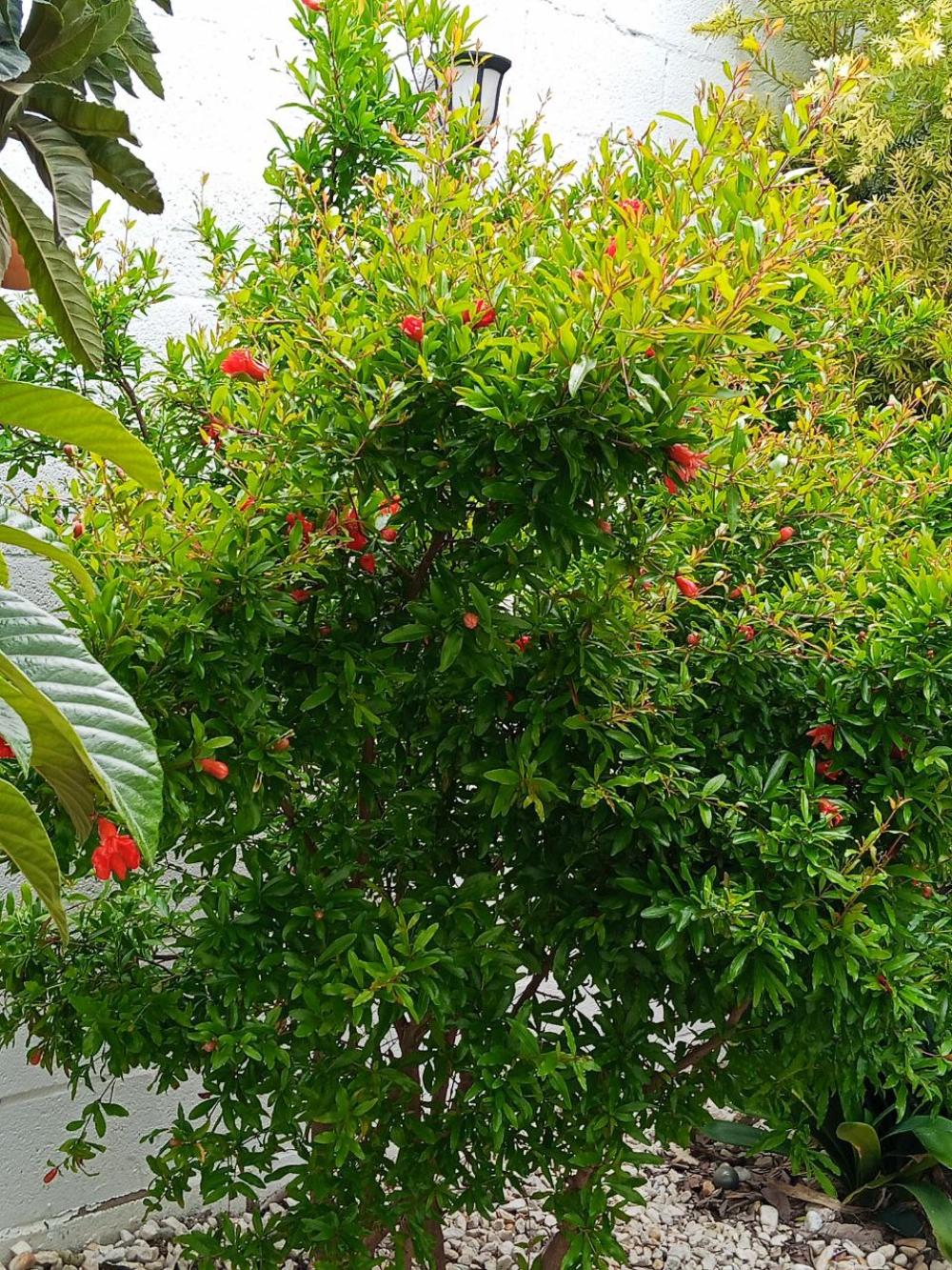 à vendre villa Bollullos De La Mitación Aljarafe 9