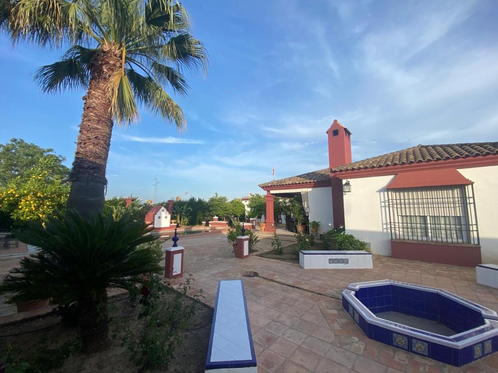  à vendre villa Palma Del Rio Valle Medio Del Guadalquivir 3