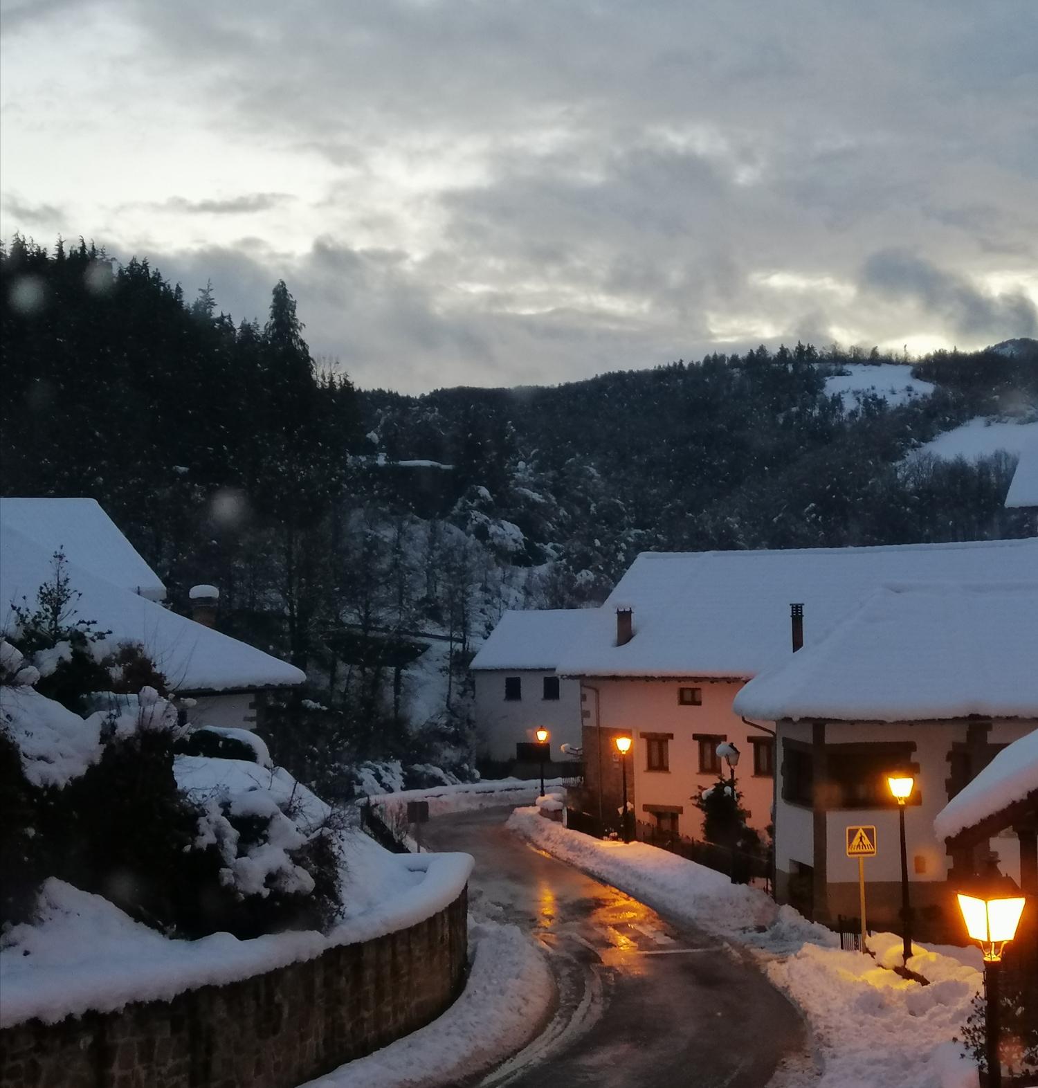  à vendre maison de ville Jaurrieta Pirineo 9