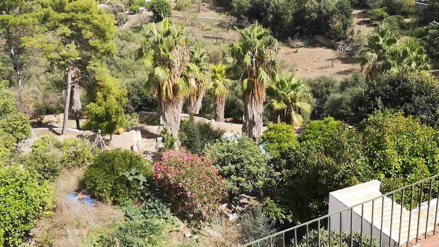  à vendre maison Campanet Raiguer 15