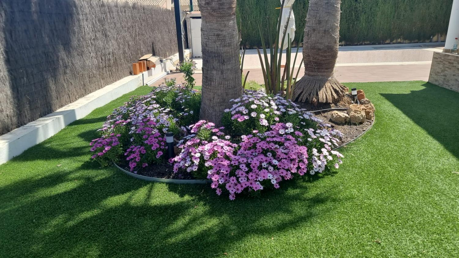  à vendre maison Calasparra Noroeste 22