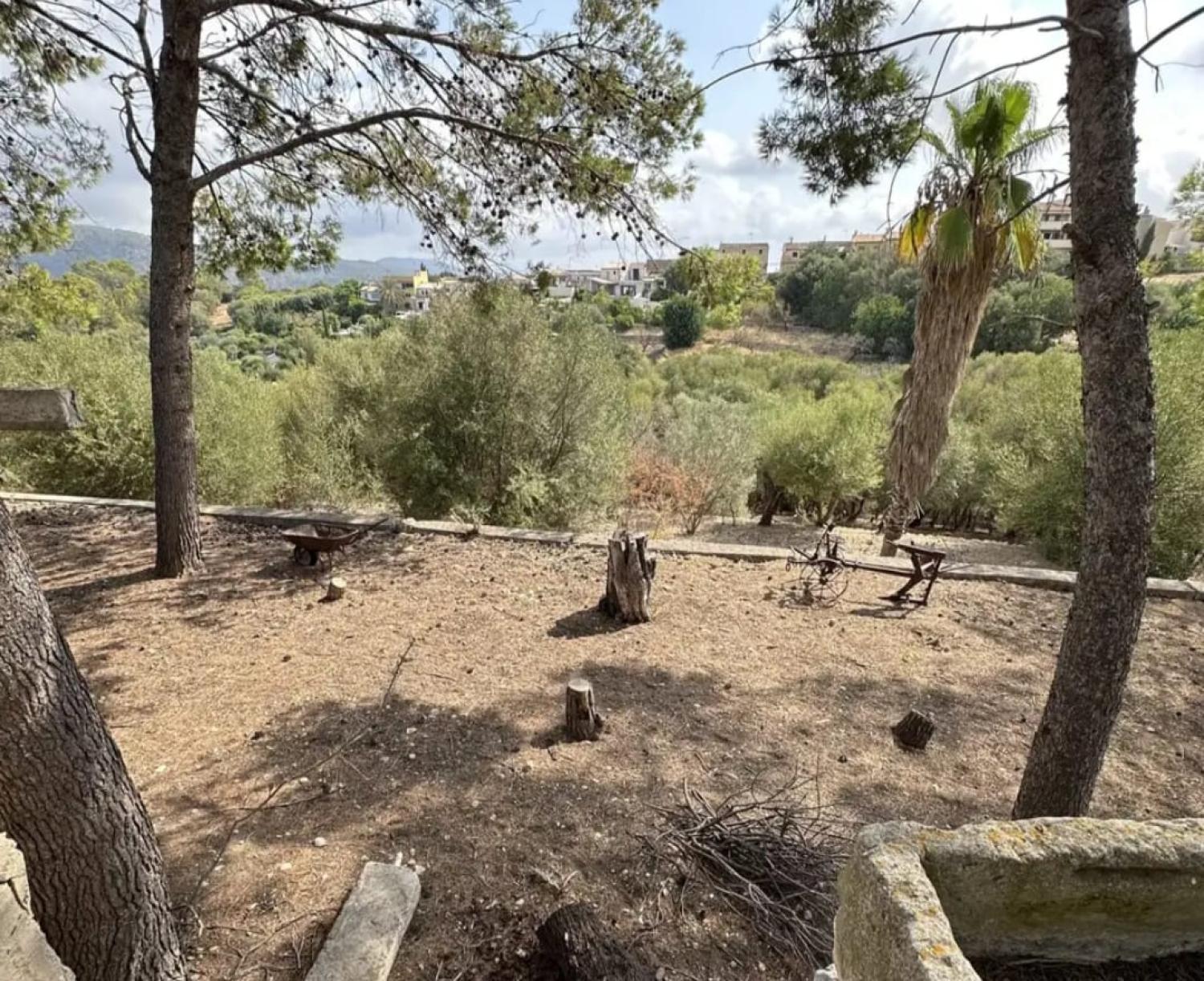  à vendre maison Campanet Raiguer 40