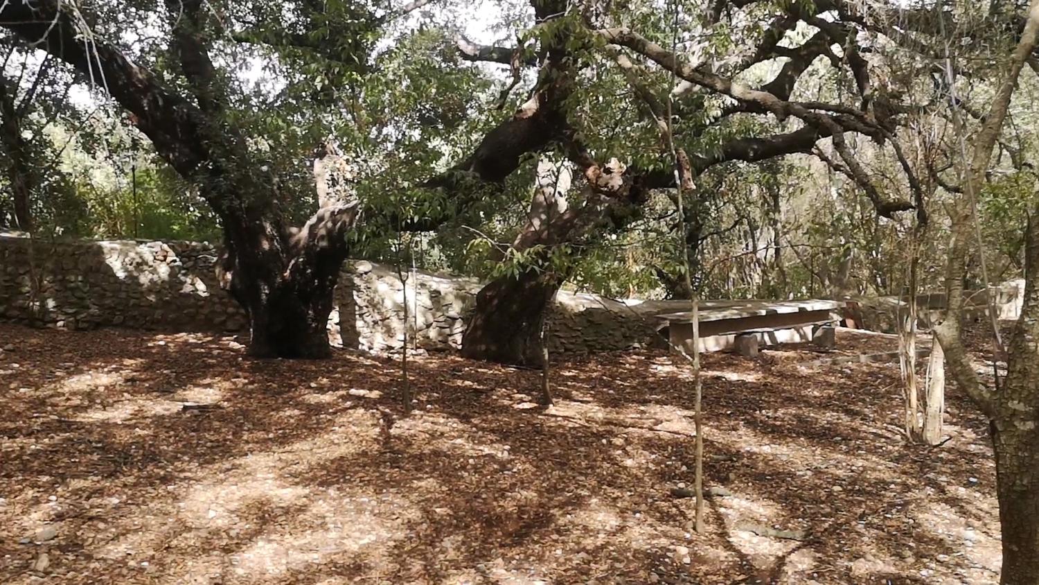  à vendre maison Campanet Raiguer 23