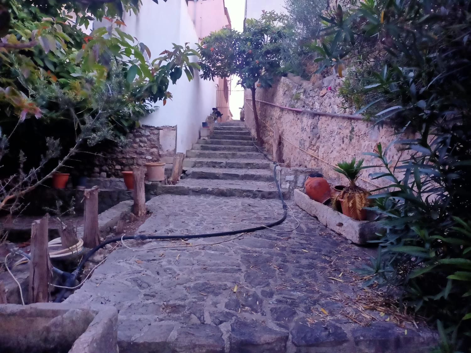  à vendre maison Campanet Raiguer 17