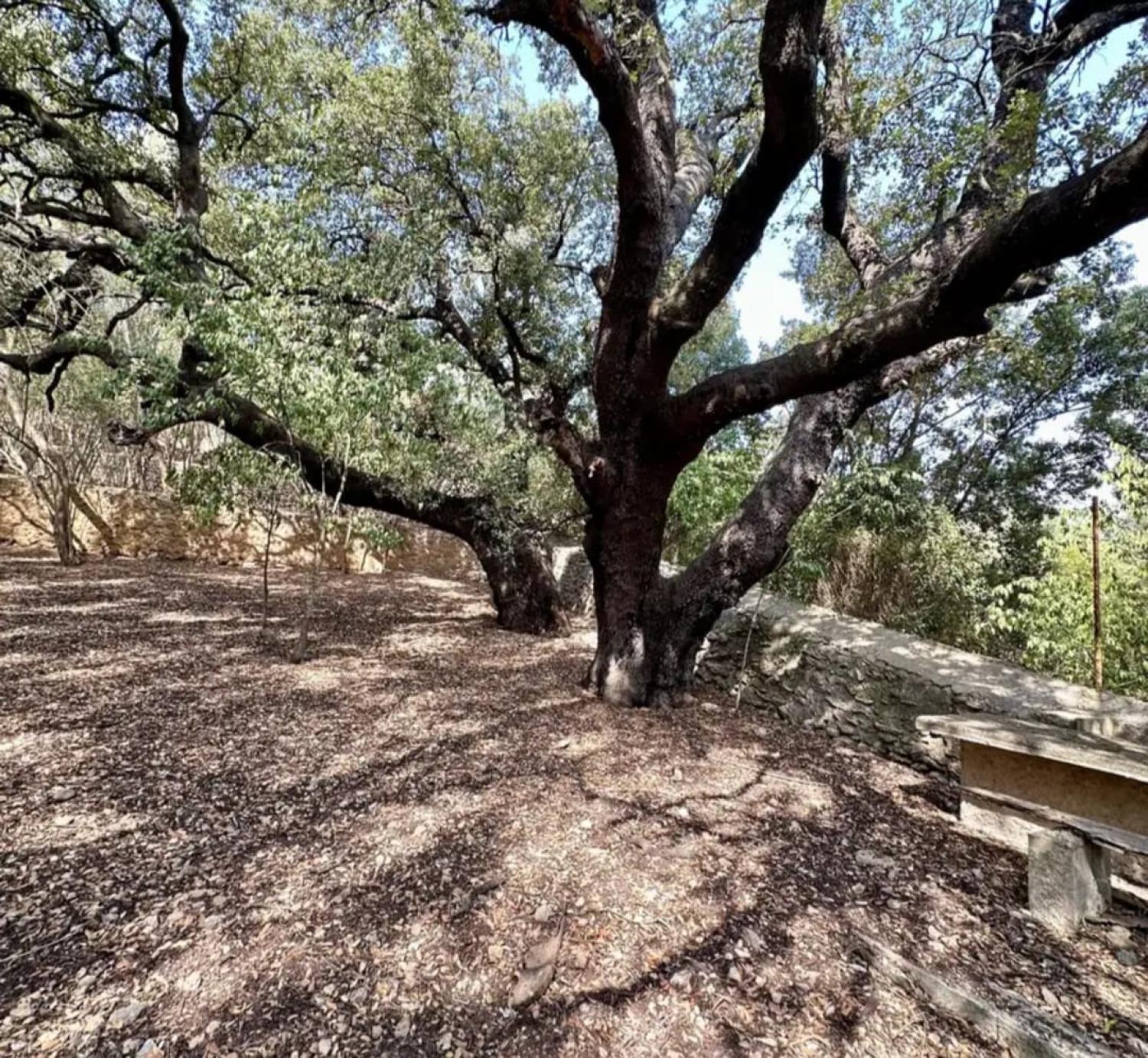  à vendre maison Campanet Raiguer 43