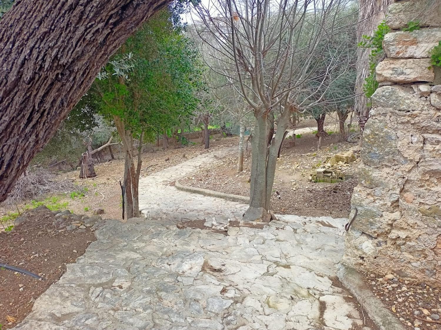  à vendre maison Campanet Raiguer 38